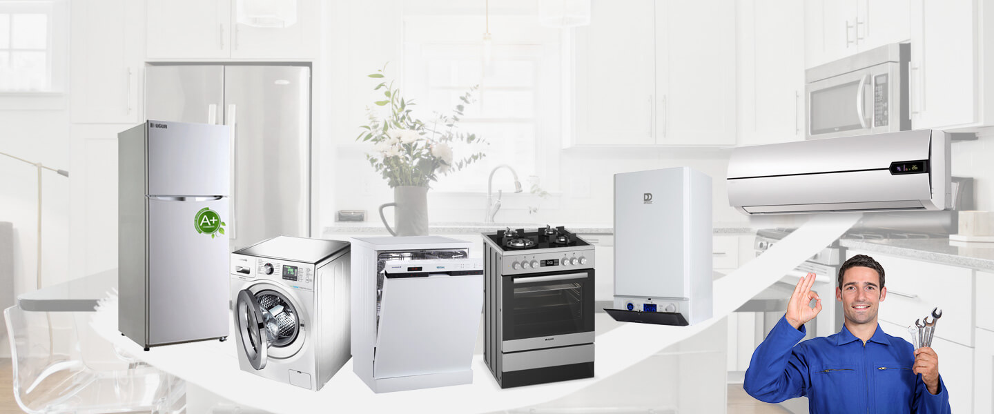 Beylikova Electrolux Servisi